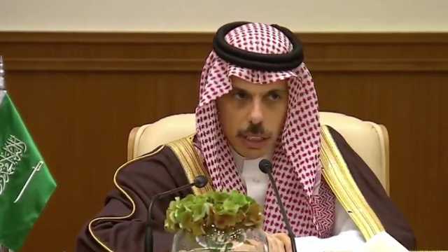 وزير الخارجية: ركزنا جهودنا على حقوق الشعب الفلسطيني في تحقيق المصير ..فيديو