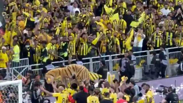 لاعبو الاتحاد يحتفلون مع الجماهير بعد الفوز برباعية .. فيديو