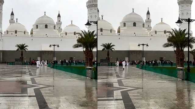 أمطار الخير تكسو مسجد قباء بجمالها في المدينة المنورة.. فيديو