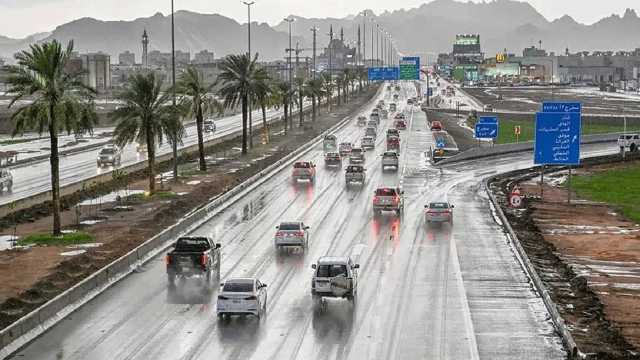 المسند: شهري مارس وأبريل الأكثر غزارة في الأمطار