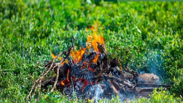 ضبط مواطنًا مخالفًا لنظام البيئة لإشعاله النار في أراضي الغطاء النباتي