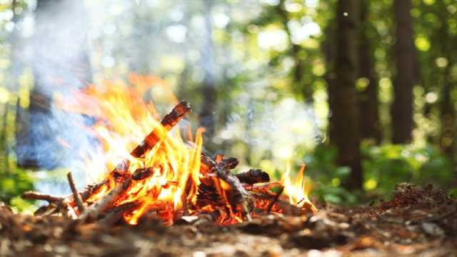 ضبط مخالف لنظام البيئة أشعل النار في أراضي الغطاء النباتي