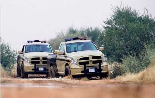 «الأمن البيئي» تضبط مخالفًا لنقله حطبًا محليًا في عسير