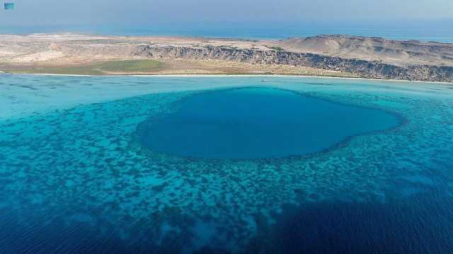 وجهة سياحية بحرية.. جمال الطبيعة في جزيرتي «صنق» و«جبل سيرين» بالبحر الأحمر