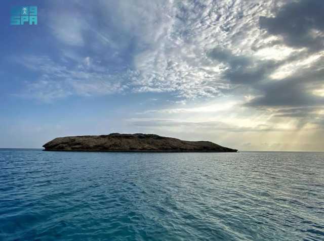 جزر الليث.. كنز طبيعي في عمق البحر الأحمر