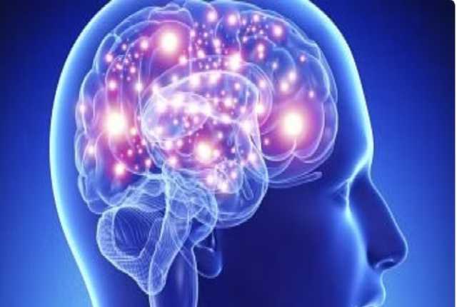 استشاري: 3 عوامل رئيسية تؤدي إلى تلف خلايا الدماغ