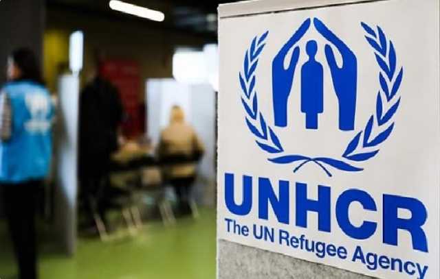 مفوضية اللاجئين: 114 مليون نازح في العالم بسبب الحروب والعنف