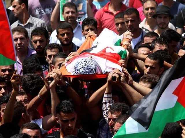 ارتفاع عدد ضحايا العدوان الإسرائيلي المستمر على غزة إلى 8306 شهداء