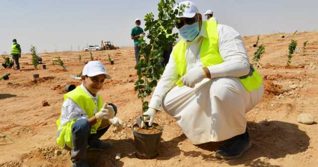 تماشياً مع مبادرة السعودية الخضراء.. مشروع لزراعة 20 ألف شجرة في الجوف