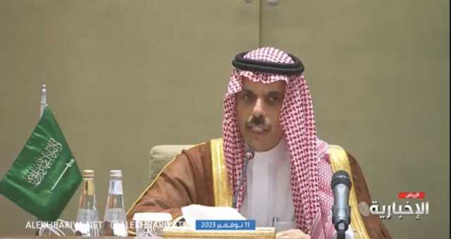 وزير الخارجية: دولتان من G20 تدعمان الموقف العربي والإسلامي بشأن غزة (فيديو)