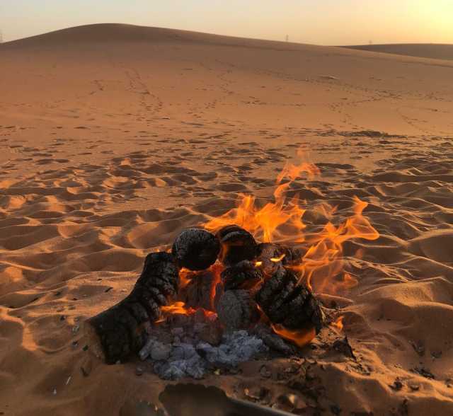 الأمن البيئي: الكثبان الرملية من مكونات الغطاء النباتي التي يحظر فيها إشعال النار