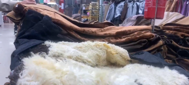 بالفيديو.. إقبال على سوق الفرو في حفر الباطن
