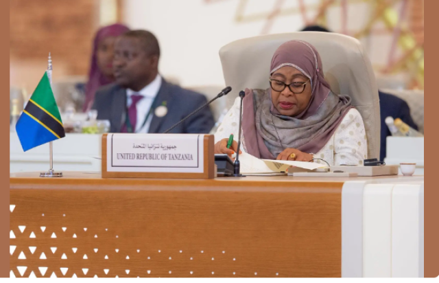 رئيسة تنزانيا تؤكد أهمية تحقيق مخرجات القمة السعودية الأفريقية وبناء قوى اقتصادية مشتركة