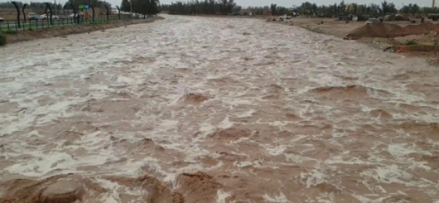 بالفيديو.. تدفق شعيب الحجازية غرب القصيم