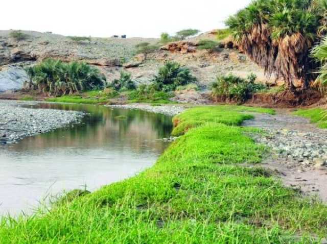 وادي بيض بمحافظة الدرب.. طبيعة خلابة وواجهة سياحية جذابة