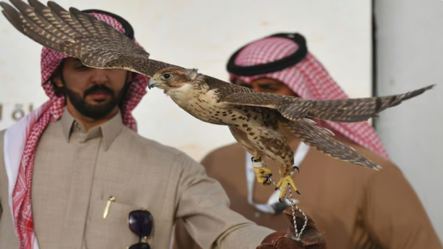 مهرجان الملك عبدالعزيز للصقور يواصل استقبال طلبات تسجيل الصقارين الدوليين الراغبين بمسابقاته