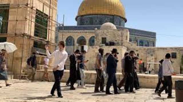 إستفزاز إسرائيلي في القدس .. مستوطنون يقتحموم المسجد الأقصى تحت حماية شرطة الإحتلال 