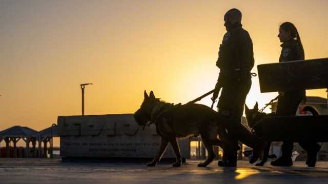 كلب لجيش الاحتلال يهاجم فلسطينيا خلال اعتقاله (شاهد)