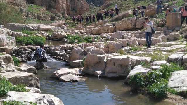 وادي القلط.. فردوس مفقود في براري أريحا ومعلم من هوية فلسطين