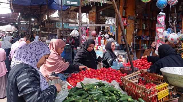 انخفاض أعداد المواليد في مصر لأول مرة منذ 17 عاما.. كم بلغت؟