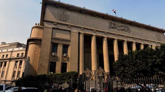 ماذا وراء إقرار القاهرة نظاما جديدا للتقاضي قبل انتهاء المهلة الدستورية؟