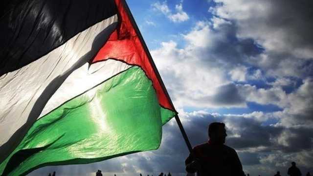 مظاهرات حاشدة.. الشعوب تنتفض لليوم 41 من العدوان على غزة (شاهد)
