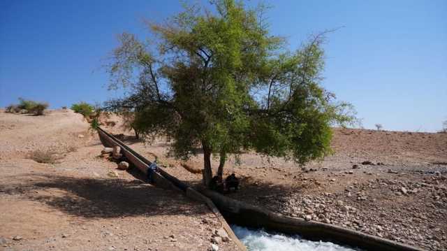 نبع العوجا.. هكذا يخطط المستوطنون لسرقة المياه الفلسطينية (شاهد)