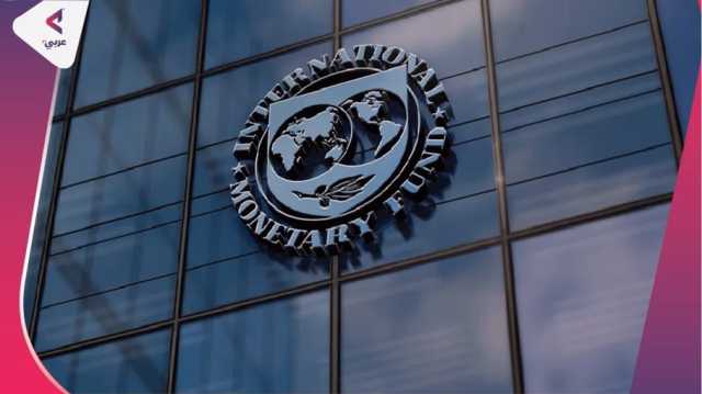 مصر ضمن أكثر الدول اقتراضا من صندوق النقد الدولي (إنفوغراف)