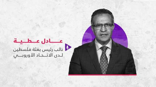 دبلوماسي فلسطيني: مؤتمر السلام الدولي سينعقد قبل نهاية العام الجاري (فيديو)