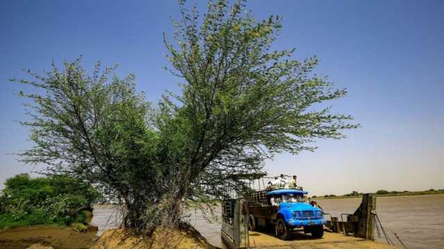 مأساة السائقين المصريين على الحدود مع السودان.. نموت ببطء