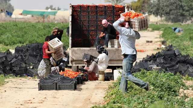 هل توقّف الاحتلال الإسرائيلي عن استيراد الفواكه والخضروات من الأردن؟