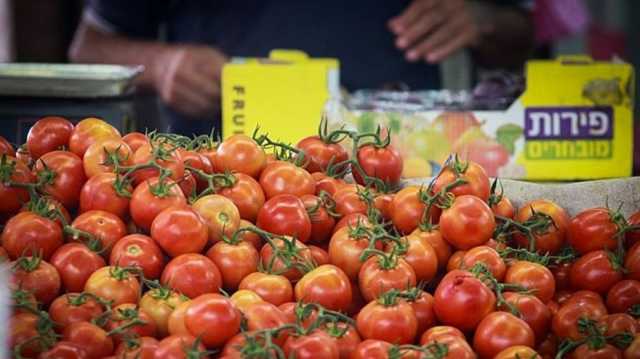 الاحتلال يوقف استيراد الخضار والفواكه من الأردن.. ملوثة بهذا الداء