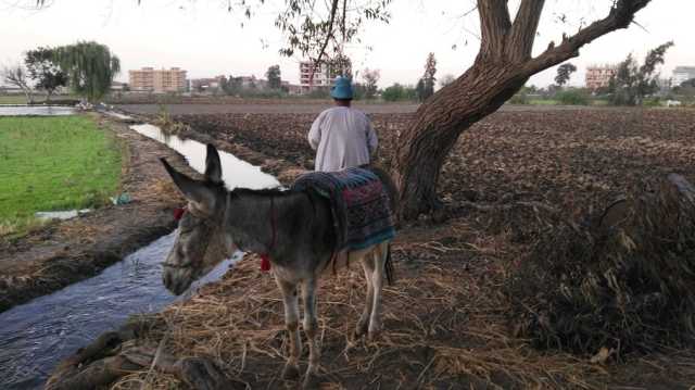 كيف استدرجت إثيوبيا مصر والسودان إلى دوامة مفاوضات لإتمام ملء سد النهضة؟