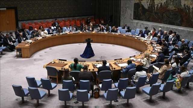 مجلس الأمن يفشل في تبني قرارين أمريكي وروسي بشأن العدوان على غزة