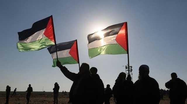 بلدية عاصمة إيرلندا ترفع العلم الفلسطيني تضامناً مع سكان غزة