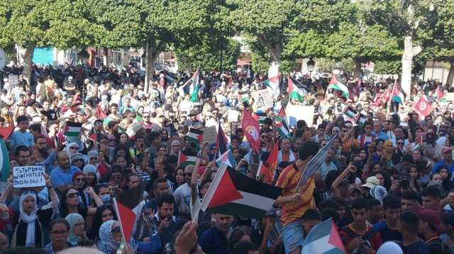الآلاف يتظاهرون في تونس دعما لغزة ويطالبون السلطات بتجريم التطبيع (شاهد)