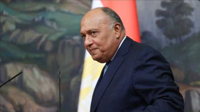 مصر تعتبر إثيويبا مصدر اضطراب في المنطقة بعد اتفاق مع صومالي لاند