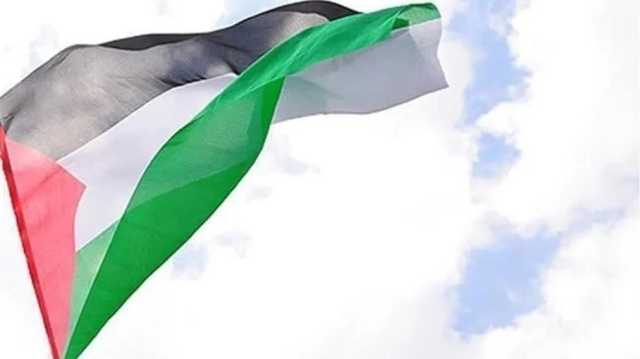 مؤيدو فلسطين في بريطانيا يتمسكون برفع العلم الفلسطيني (شاهد)