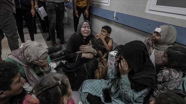 اعتذارات بمصر والمغرب.. هل توقف جرائم الاحتلال في غزة التطبيع العربي؟