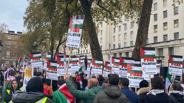 أنصار فلسطين أمام مقر الحكومة البريطانية للمطالبة بوقف العدوان على غزة (شاهد)