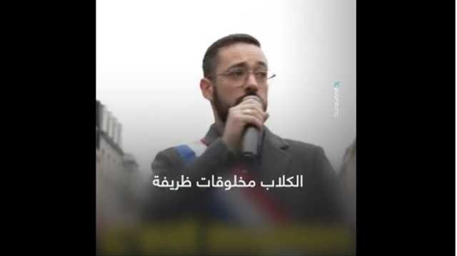 نائب فرنسي: وصفوني بالكلب لدعمي غزة والكلاب مخلصة (شاهد)