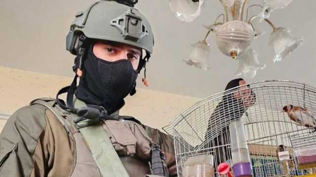 الاحتلال يحرر طيور حسّون من منازل فلسطينيين في نابلس.. وسخرية