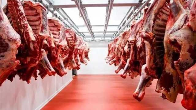 الإمارات ثاني أكثر الدول استيرادا للحم الضأن من روسيا