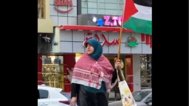 مسنة مصرية تتظاهر وحيدة لدعم فلسطيني.. ماذا هتفت؟ (فيديو)