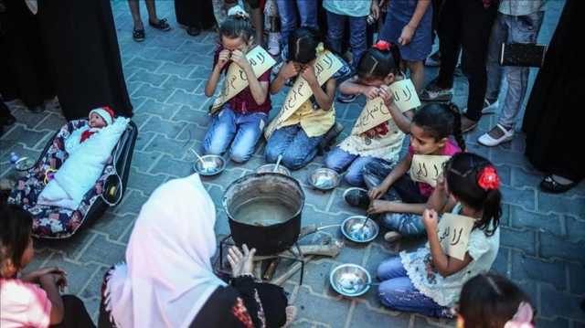 مدير مستشفى بقطاع غزة: كذب من قال إن الناس لا يموتون جوعا (شاهد)