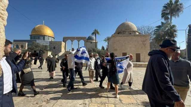 عن المسجد الأقصى وحكاية هيكل سليمان.. نقاش فكري وتاريخي هادئ