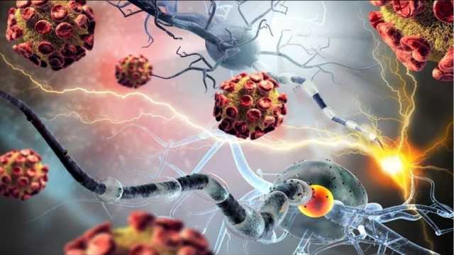 دراسة: الخلايا المناعية تفقد غريزتها القتالية في الأورام السرطانية