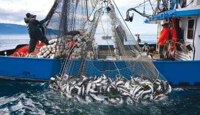هذا جديد تعويض مهنيي الصيد البحري !