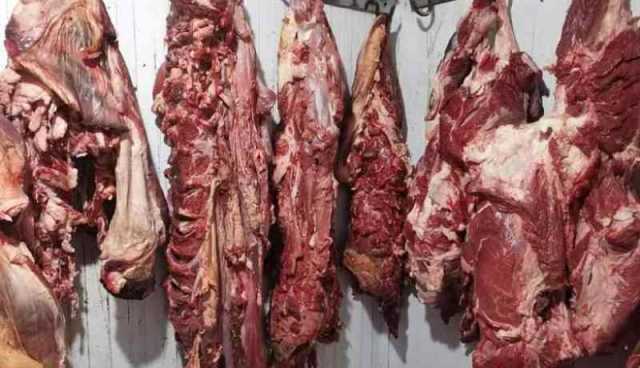 شرطة الوادي تحجز كميات من اللحوم الفاسدة