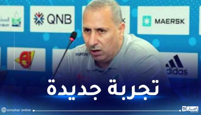 الجزائري رضا زقيلي مدربا جديدا للمنتخب الليبي لكرة اليد